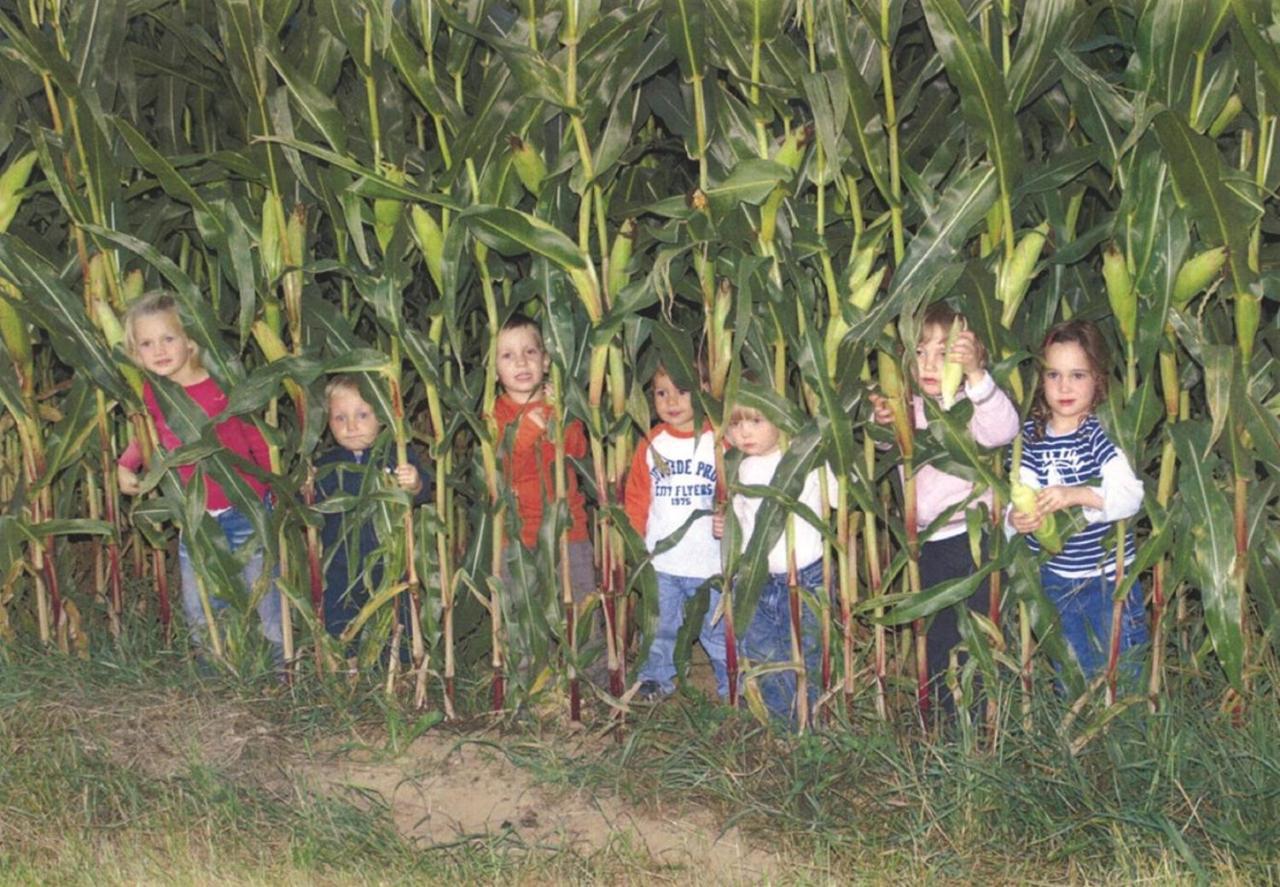 Ferienhof Schlag Waldmünchen Esterno foto