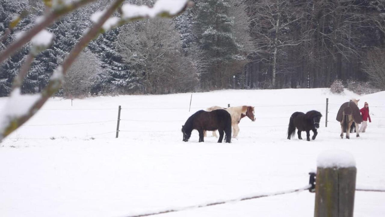 Ferienhof Schlag Waldmünchen Esterno foto